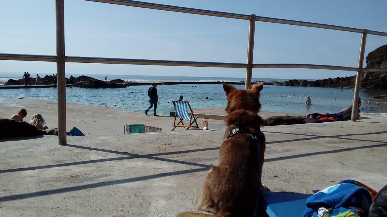 Atlantica Villa Bude Dış mekan fotoğraf